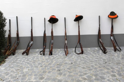 Hunting rifles, so-called shotguns, leaning against a house wall, Lower Austria, Austria, Europe