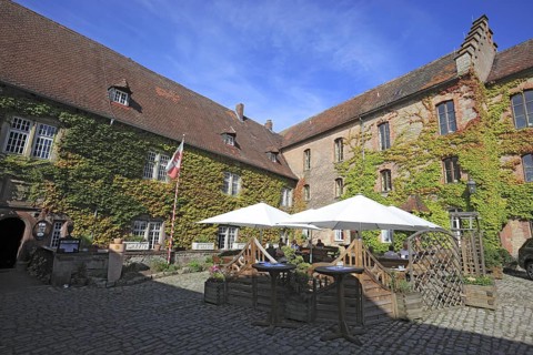 Inner courtyard and vineyard of Saaleck Castle near Hammelburg, Lower Franconia, Bavaria, Germany,