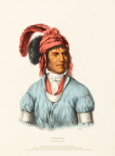 Ledagie. A Creek Chief (1843_1838), Native American, Historical Native American tribes from North