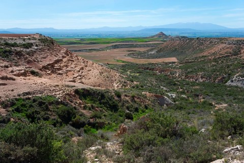 Green valleys and hills with a mountain range in the background under a clear blue sky, Bardenas