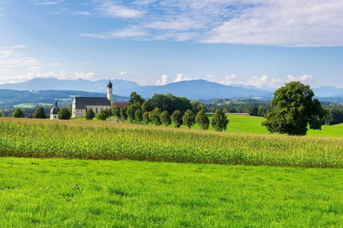 Pilgrimage church of St Marinus and Anian in Wilparting, cornfield, avenue, meadow, municipality of