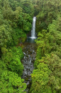 Aerial view, waterfall in the rainforest, Catarata de la Paz, La Paz Waterfall Gardens Nature Park,