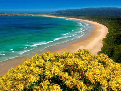 New Zealand, Otago, Tautuku Bay, rocky peninsula, beach, bay, Tautuku Bay, New Zealand, Oceania
