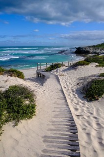 Boardwalk, sand dunes, De Hoop Nature Reserve, Indian Ocean, nature reserve near Struisbaai, Garden