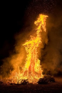 Environmental pollution, fire from discarded Christmas trees, Ostfildern-Plieningen,
