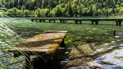 Landscape at Lake Thumsee, Bad Reichenhall, Bavaria, Germany, Europe