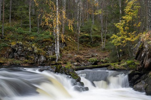 River course in Oulanka National Park, Finland, Europe