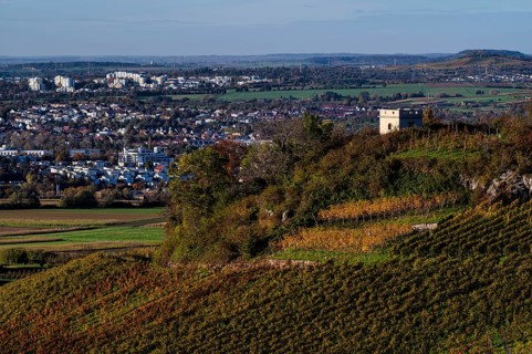 Schützenhüttle-Esel, behind Waiblingen, vineyard, vines, grapevines, viticulture, autumn colouring,