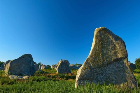 Neolithic menhirs, large standing stones in Carnac, with blue sky in the background, Carnac,
