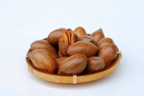 Pecans in a bowl (Carya illinoinensis)