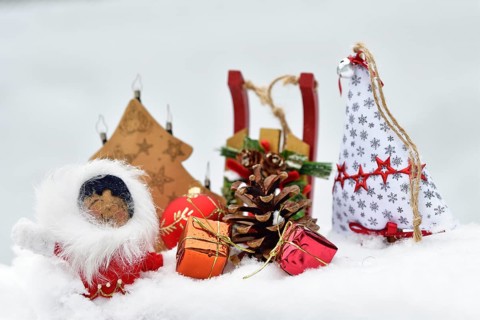 Christmas decoration, Inuit with sleigh and Christmas tree ball and pine cones and Christmas