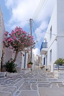 Alley in the old town, Parikia, Paros, Clyclades, Greece, Europe