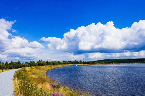 Gallows ponds: The large and small gallows ponds were built in the middle of the 16th century
