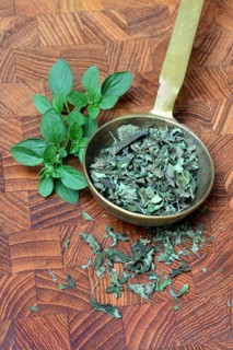 Oregano, fresh and dried oregano in ladle, Origanum vulgare