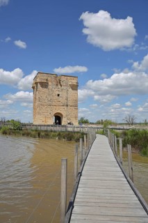 Historic Tour Carbonnière built in 1346, defence defence tower and wooden footbridge over the lake,