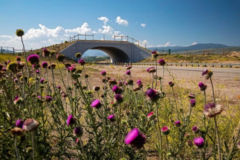 Kremmling, Colorado, A wildlife overpass that allows mule deer and other animals to safety cross