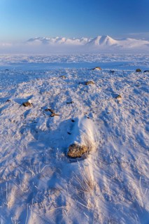 Mountain landscape in winter, snow drifts, evening light, Arctic, Brooks Range, North Slope,