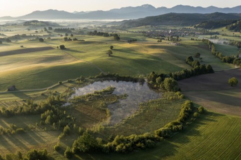 Aerial view of a lake in front of mountains in summer, morning light, view of Benediktenwand,