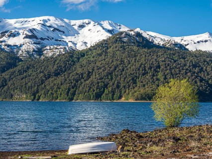 Araucaria forest on hills at lake Conguillio, boat on shore, Conguillio National Park, Chile, South
