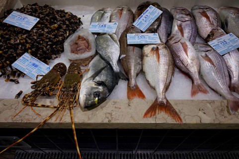 Fish counter, fresh fish, display of fresh fish, crayfish, mussels, bream, perch, market hall,