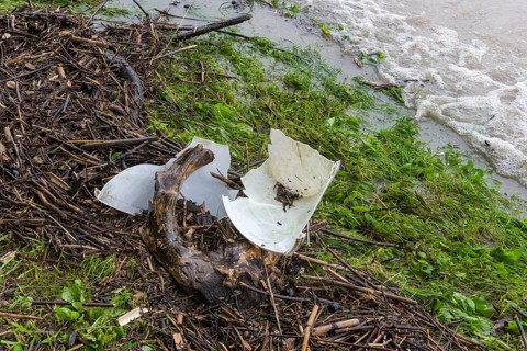 Symbolic image Environmental pollution, plastic waste, rubbish, flotsam from a flood on the Neckar