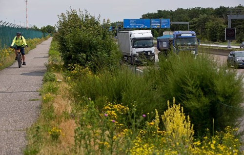 Cyclist at the airport next to traffic on the A5 motorway, Frankfurt am Main, Hesse, Germany,