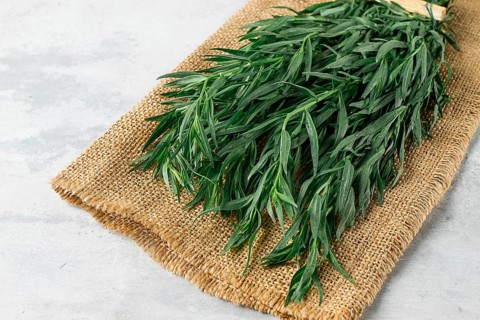 Fresh Tarragon, bunch, top view, close-up, no people