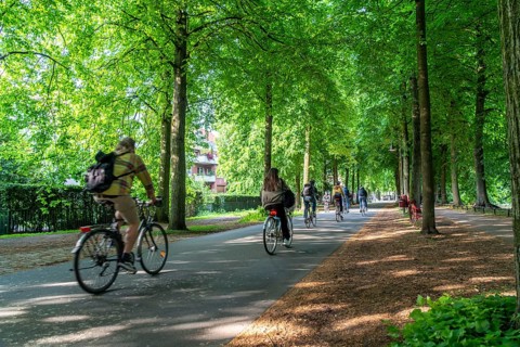 Promenade cycle path, tree-lined, car-free, approximately 4.5 km long ring road around the city