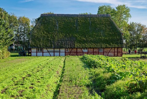 Historic Selmsdorf farmhouse, Klockenhagen open-air museum, historic Mecklenburg village,