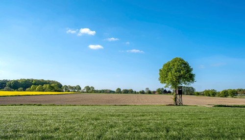 Landscape with raised hide, high stand, Münsterland, North Rhine-Westphalia, Germany, Europe