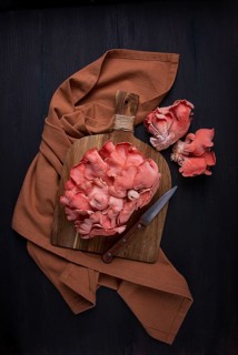Pink oyster mushroom, bunch, close-up, raw, no people