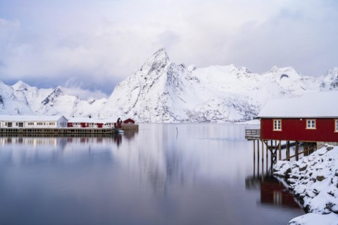 Rorbuer huts of Hamnoy at the fjord, snowy mountains in the background, Hamnøy, Reine, Moskenesøya,