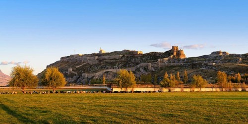 Sheep herd grazing in front of Van castle at sunset, Van, Turkey, Asia