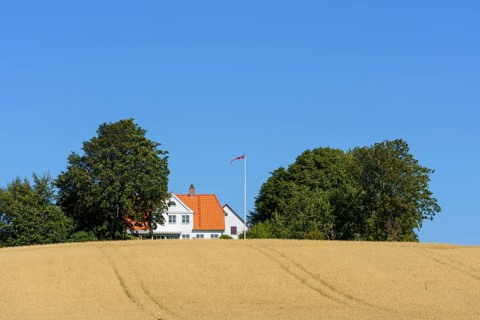 White house with a red roof surrounded by trees, standing in a field of wheat under a clear blue