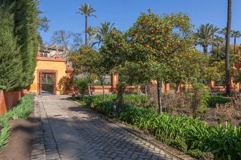 Jardines del Alcazar, gardens with palm trees in the Alcazar, Royal Palace of Seville, Seville,