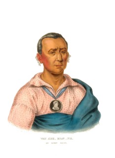 American Indian, Native American, Wat-Che-Mon-Ne, Chief of the Ioway tribe, United States of