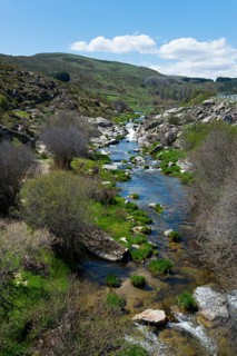 River flows through a green valley with rocks and vegetation, under a blue sky with clouds,
