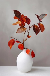 White vase with tree branch with red autumn leaves. Generative Ai, AI generated