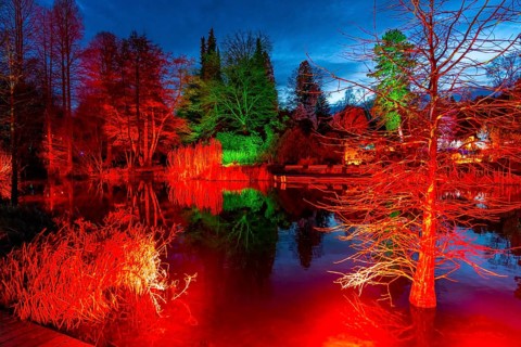 Parkleuchten, event in winter, in the Grugapark in Essen, many different light installations,