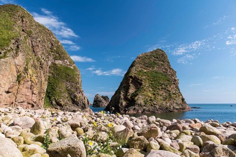 Bullers of Buchan, Aberdeenshire, Scotland, Great Britain