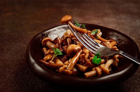 Pickled honey mushrooms, in a bowl, homemade, top view, no people