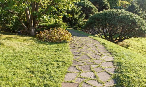 Cottage garden with green lawn, trees, hedges, trimmed bushes and large mountain pines. Modern