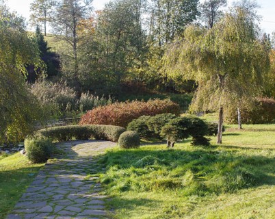 Cottage garden with topiary, hedges, trimmed bushes. Modern landscape design