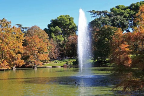 Water fountain in pond lake by Crystal Palace, El Retiro park, Madrid, Spain, Europe