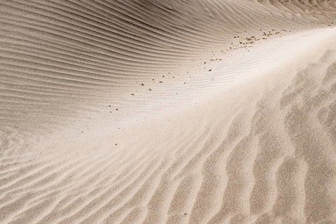 Dune landscape, Playa de Famara, Lanzarote, Canary Islands, Spain, Europe