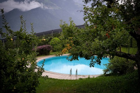 Swimming pool, Swimming pool, Garden, Vineyards, Vines, Scena, Scena, South Tyrol, Autonomous