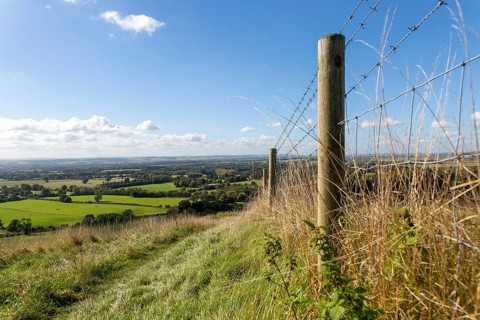 Low angle view fence posts Vale of Pewsey, Pewsey Vale, Martinsell Hill, Oare, Wiltshire, England,