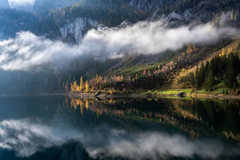 The Vordere Gosausee in autumn with a view of the Gosaukamm. Trees in autumn leaves, yellow larches