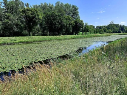 Landscape on Herrenchiemsee with large canal in front of Herrenchiemsee Castle, Herrenchiemsee