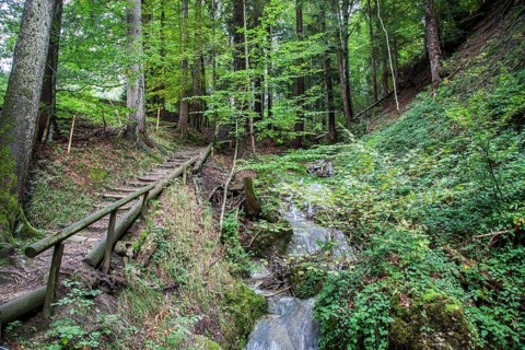Klammweg, Missen, Oberallgäu, Allgäu, Bavaria, Germany, Europe